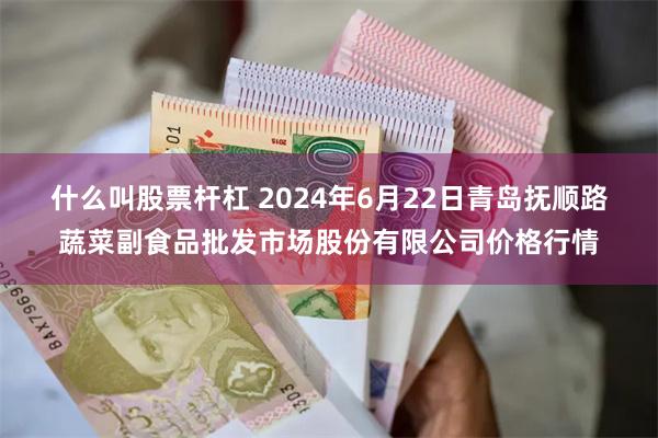 什么叫股票杆杠 2024年6月22日青岛抚顺路蔬菜副食品批发市场股份有限公司价格行情