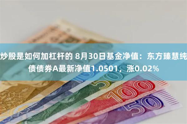 炒股是如何加杠杆的 8月30日基金净值：东方臻慧纯债债券A最新净值1.0501，涨0.02%