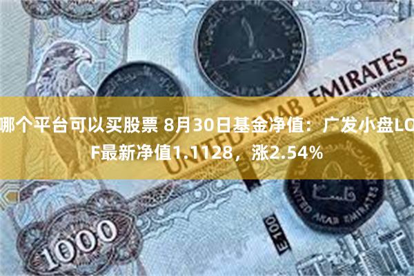 哪个平台可以买股票 8月30日基金净值：广发小盘LOF最新净值1.1128，涨2.54%